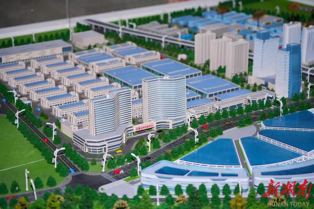 2025.jpg